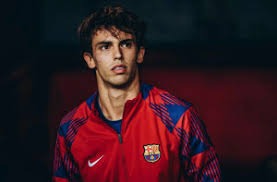 《棒球与动漫：从《巨人之星》到《钻石王牌》，二次元的棒球魂》