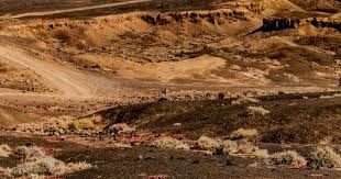 《天月麻雀》川麻玩法上线！新雀士、新赛季展开狩猎之旅